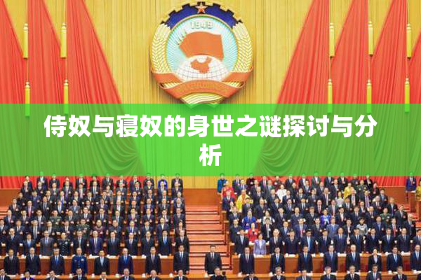 侍奴与寝奴的身世之谜探讨与分析