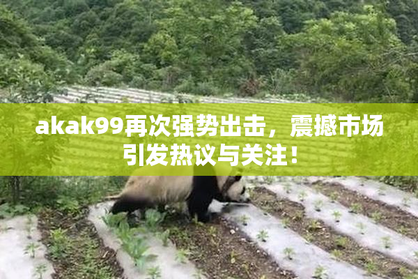 akak99再次强势出击，震撼市场引发热议与关注！
