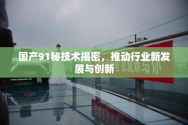 国产91秘技术揭密，推动行业新发展与创新