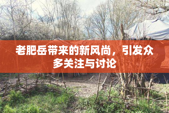 老肥岳带来的新风尚，引发众多关注与讨论