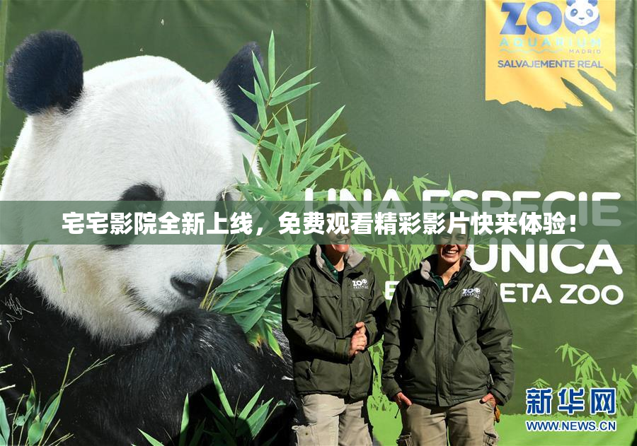 宅宅影院全新上线，免费观看精彩影片快来体验！