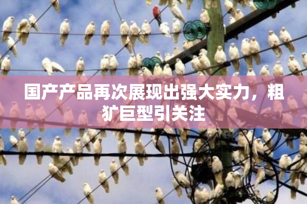 国产产品再次展现出强大实力，粗犷巨型引关注