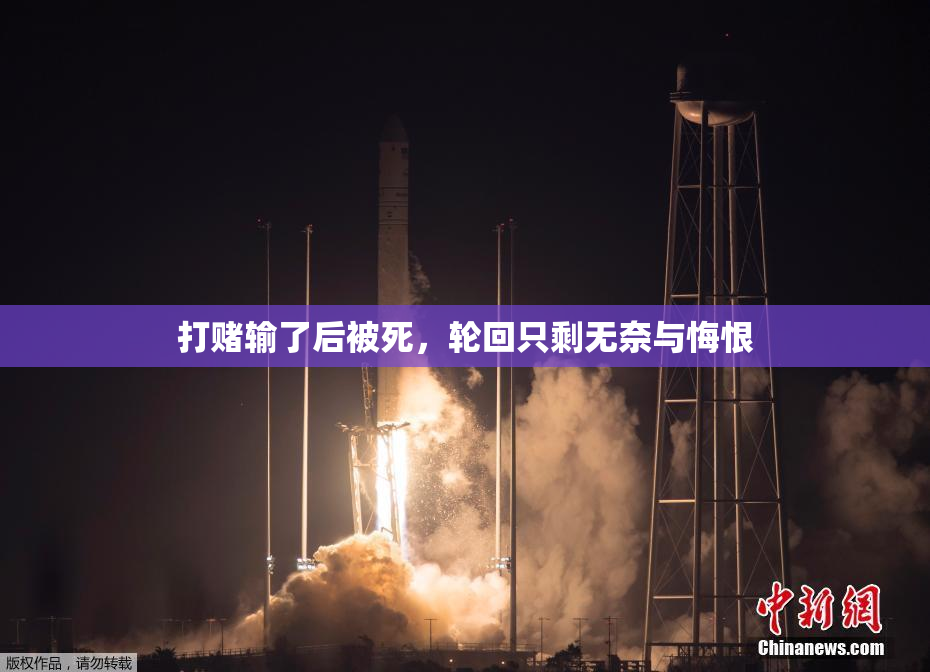 打赌输了后被死，轮回只剩无奈与悔恨