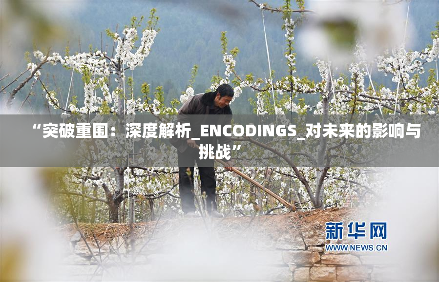“突破重围：深度解析_ENCODINGS_对未来的影响与挑战”