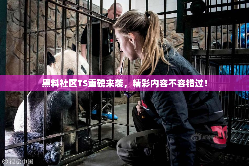 黑料社区TS重磅来袭，精彩内容不容错过！
