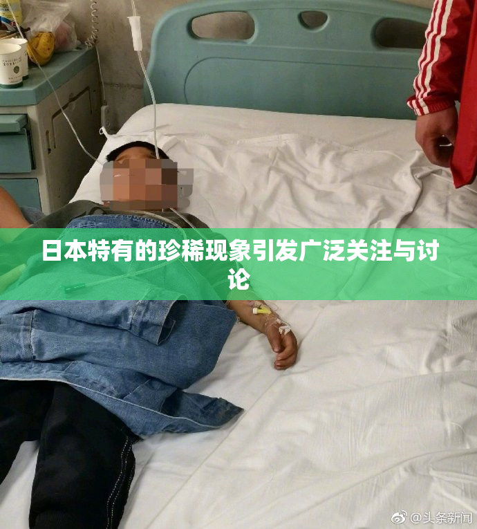 日本特有的珍稀现象引发广泛关注与讨论