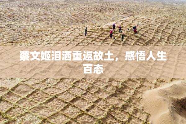蔡文姬泪洒重返故土，感悟人生百态