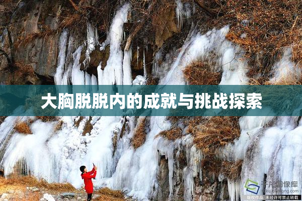 大胸脱脱内的成就与挑战探索
