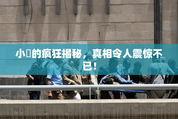 小泬的疯狂揭秘，真相令人震惊不已！