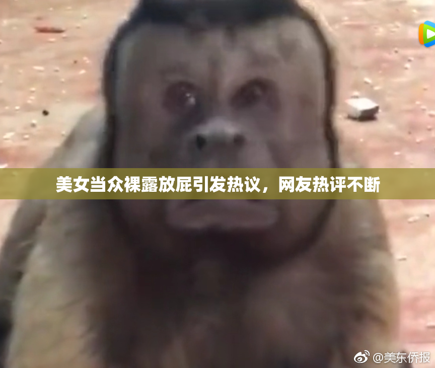 美女当众裸露放屁引发热议，网友热评不断