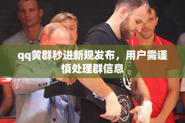 qq黄群秒进新规发布，用户需谨慎处理群信息