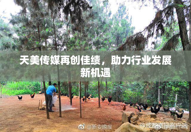 天美传媒再创佳绩，助力行业发展新机遇