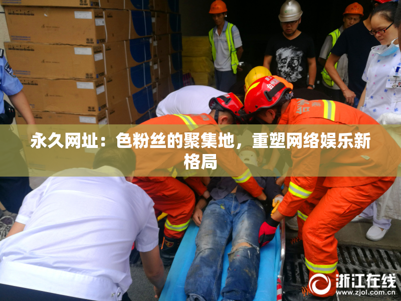 永久网址：色粉丝的聚集地，重塑网络娱乐新格局