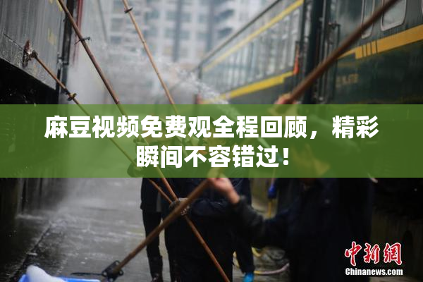 麻豆视频免费观全程回顾，精彩瞬间不容错过！