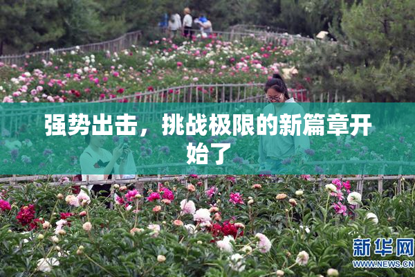 强势出击，挑战极限的新篇章开始了