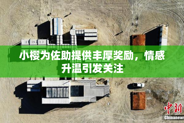 小樱为佐助提供丰厚奖励，情感升温引发关注