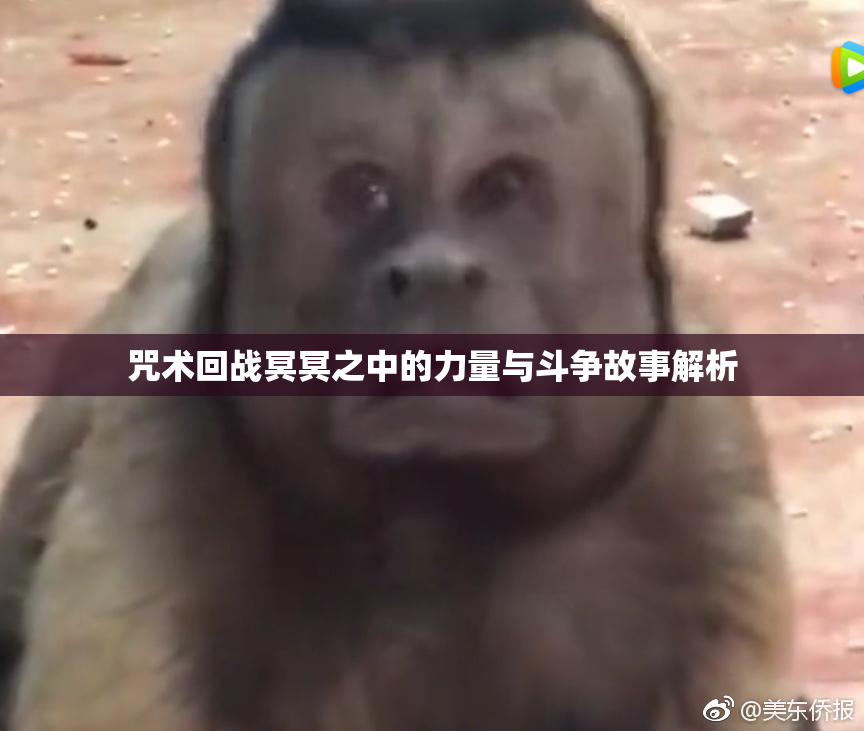 咒术回战冥冥之中的力量与斗争故事解析