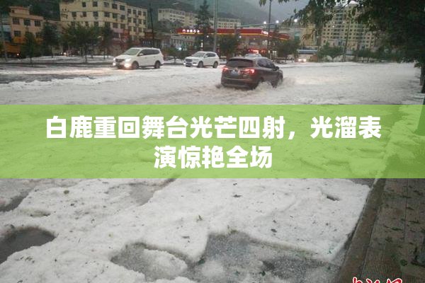 白鹿重回舞台光芒四射，光溜表演惊艳全场