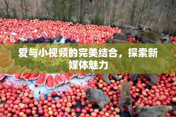 爱与小视频的完美结合，探索新媒体魅力
