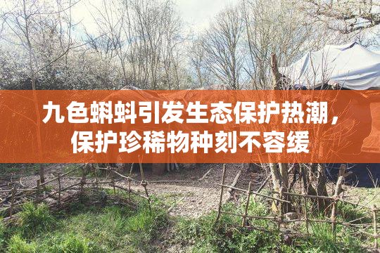 九色蝌蚪引发生态保护热潮，保护珍稀物种刻不容缓