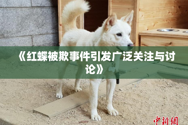 《红蝶被欺事件引发广泛关注与讨论》