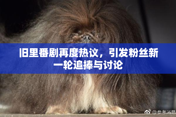 旧里番剧再度热议，引发粉丝新一轮追捧与讨论