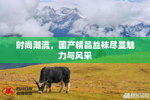 时尚潮流，国产精品丝袜尽显魅力与风采