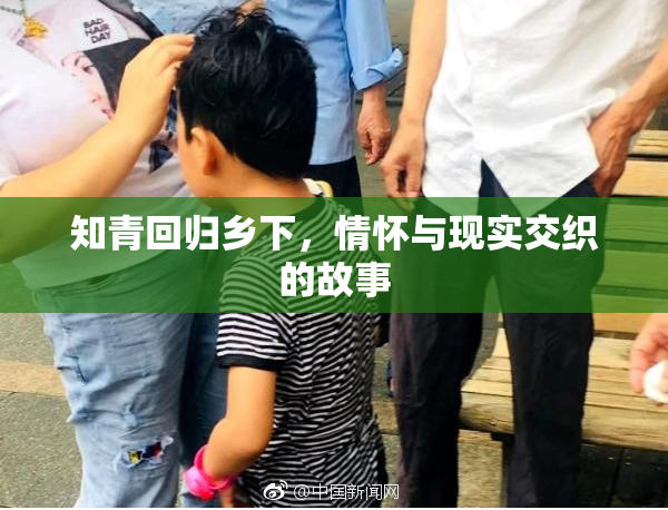 知青回归乡下，情怀与现实交织的故事