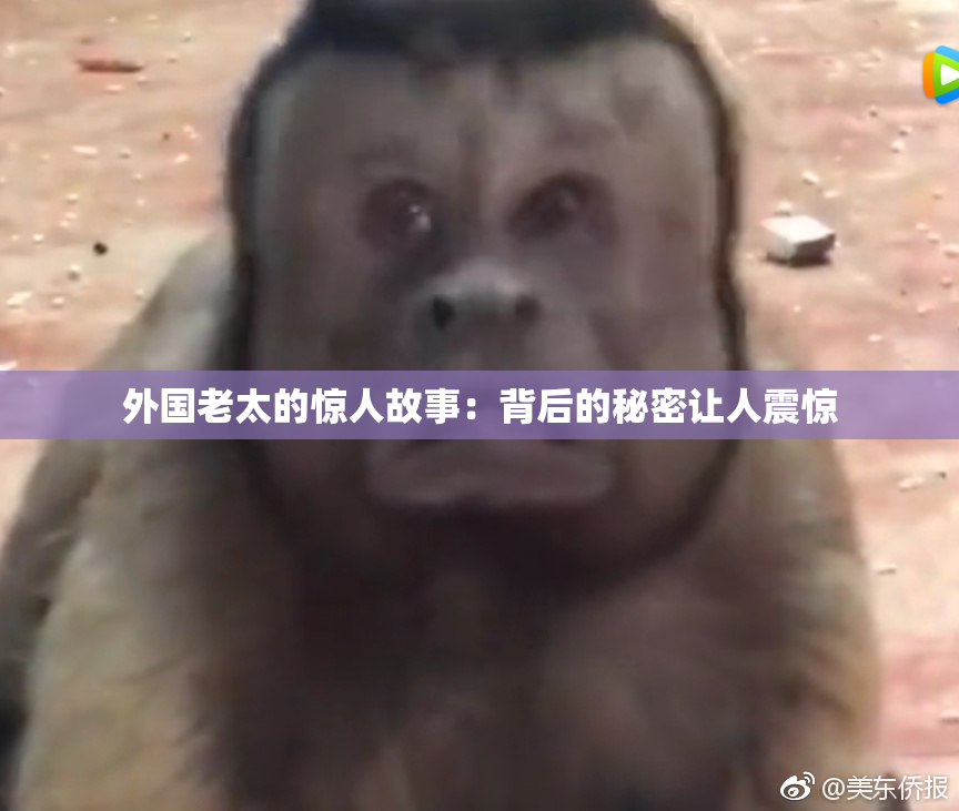 外国老太的惊人故事：背后的秘密让人震惊