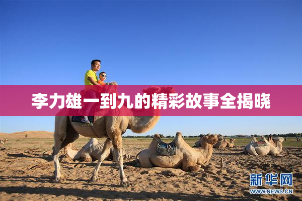 李力雄一到九的精彩故事全揭晓