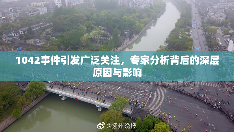 1042事件引发广泛关注，专家分析背后的深层原因与影响