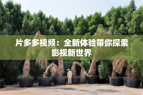 片多多视频：全新体验带你探索影视新世界