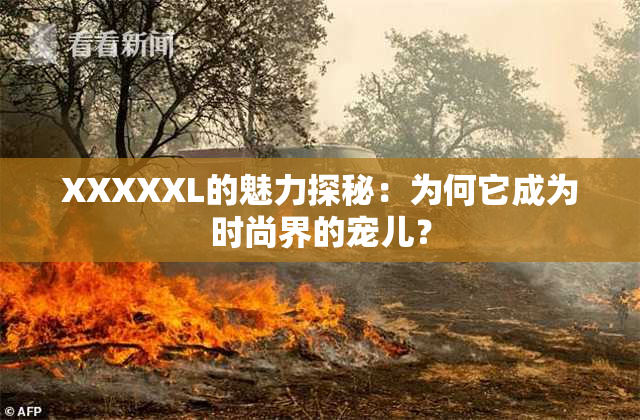 XXXXXL的魅力探秘：为何它成为时尚界的宠儿？