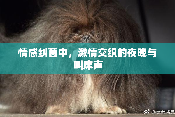 情感纠葛中，激情交织的夜晚与叫床声