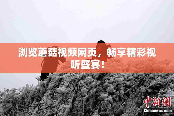 浏览蘑菇视频网页，畅享精彩视听盛宴！