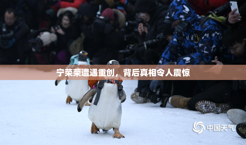 宁荣荣遭遇重创，背后真相令人震惊