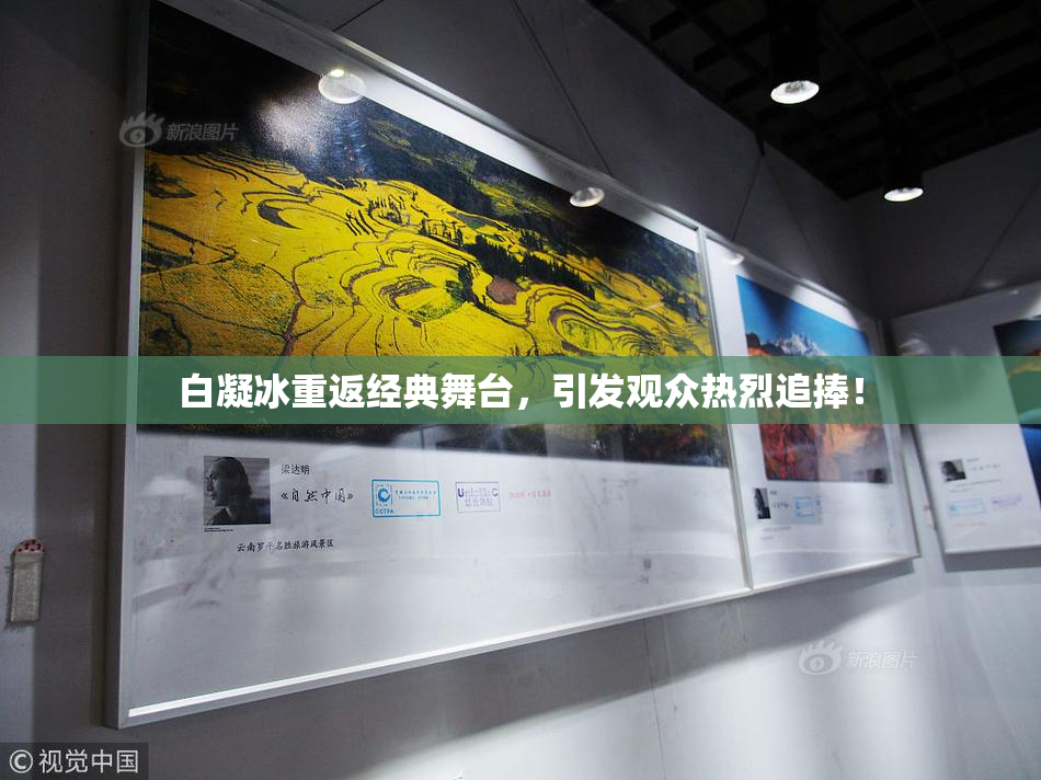 白凝冰重返经典舞台，引发观众热烈追捧！