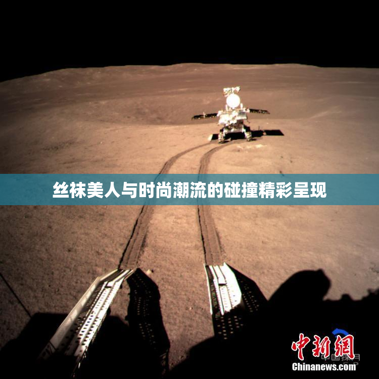 丝袜美人与时尚潮流的碰撞精彩呈现