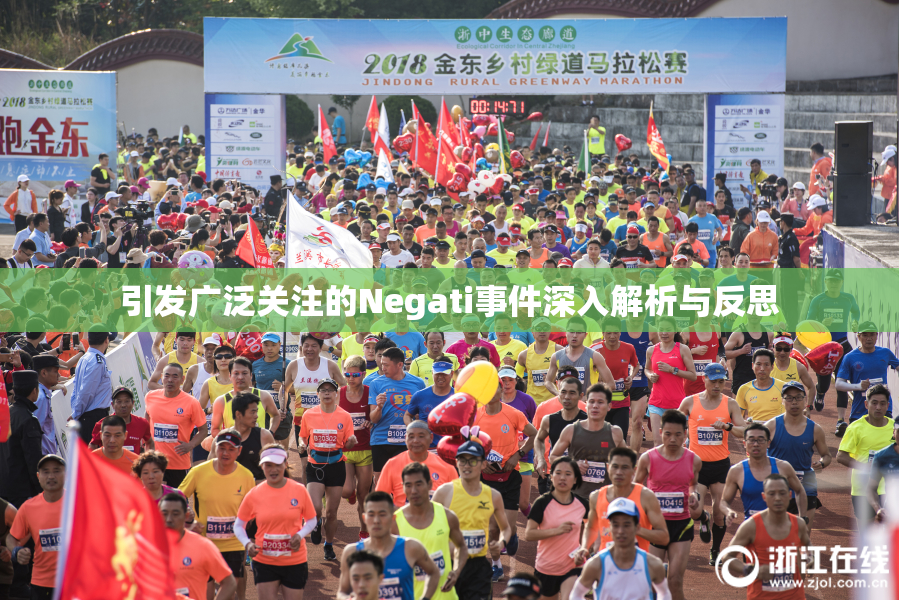 引发广泛关注的Negati事件深入解析与反思