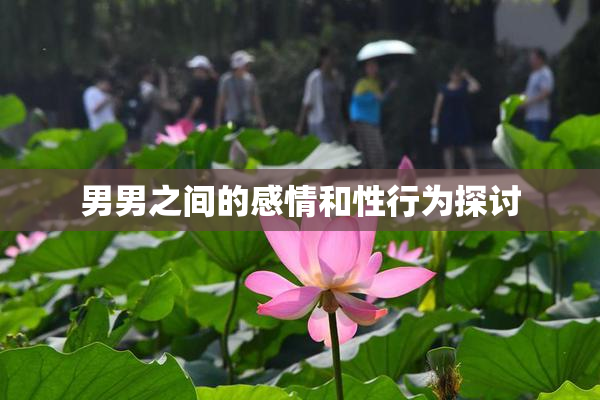 男男之间的感情和性行为探讨