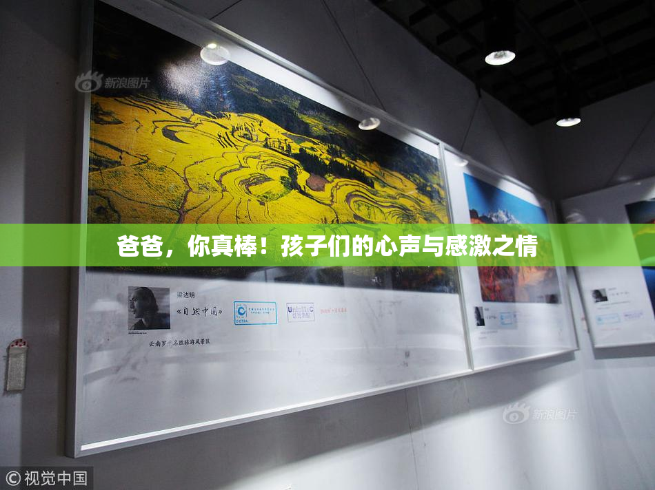 爸爸，你真棒！孩子们的心声与感激之情
