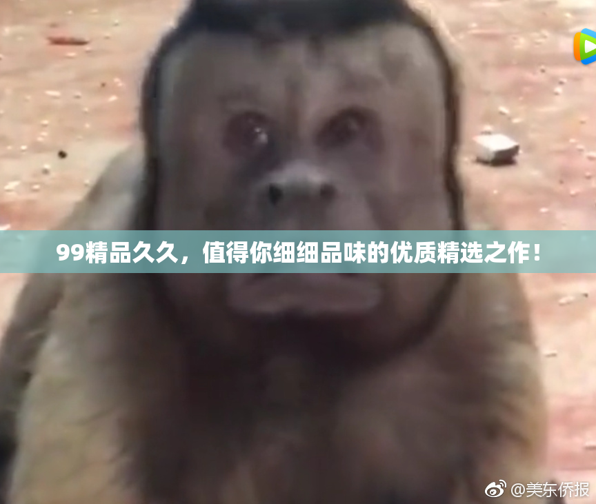 99精品久久，值得你细细品味的优质精选之作！