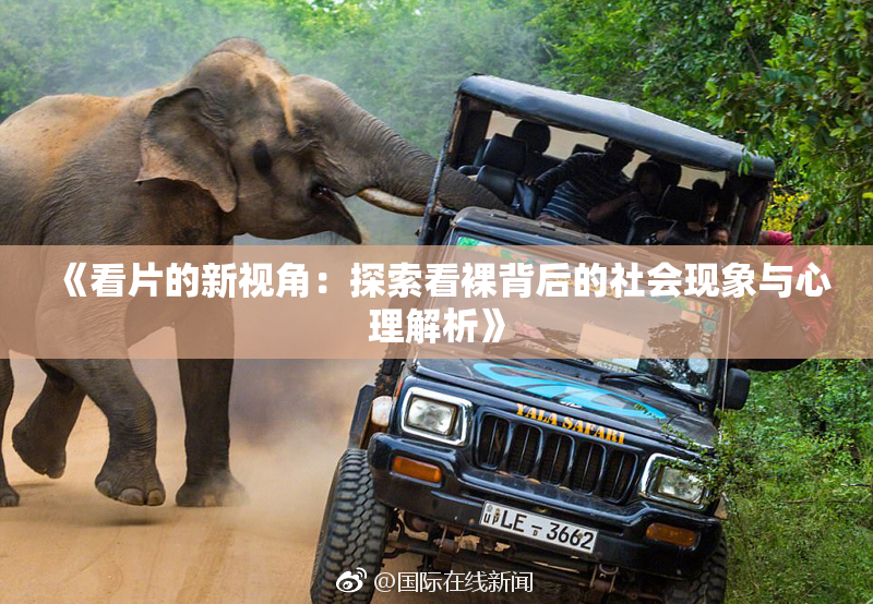 《看片的新视角：探索看裸背后的社会现象与心理解析》
