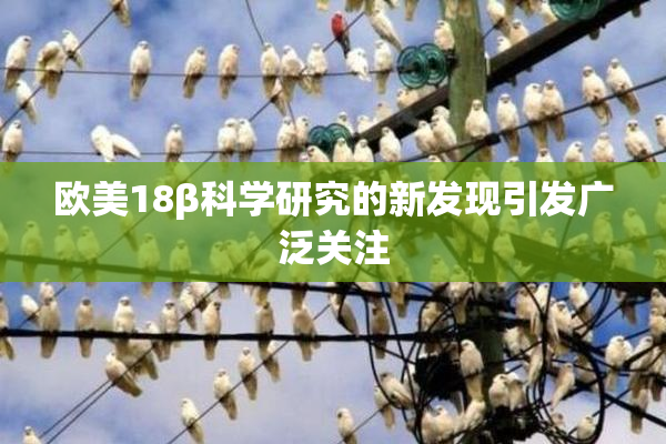 欧美18β科学研究的新发现引发广泛关注