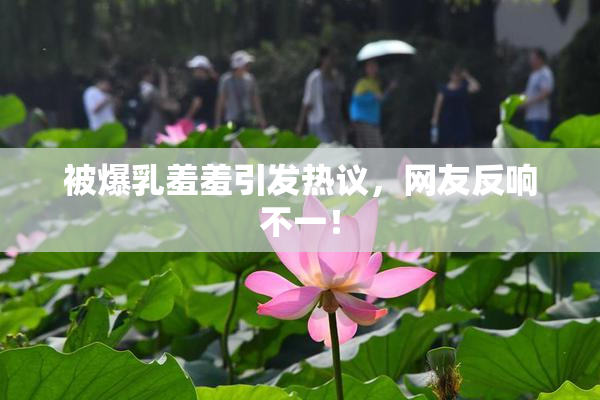 被爆乳羞羞引发热议，网友反响不一！