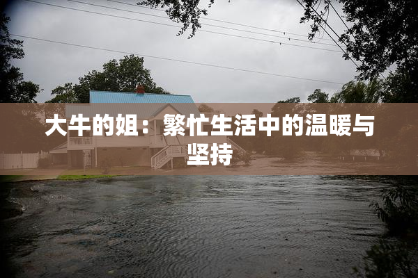 大牛的姐：繁忙生活中的温暖与坚持