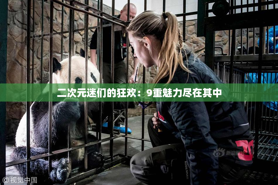 二次元迷们的狂欢：9重魅力尽在其中
