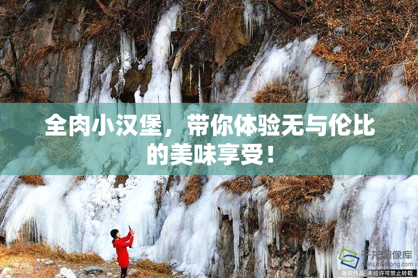 全肉小汉堡，带你体验无与伦比的美味享受！