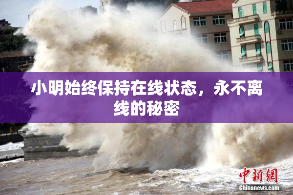 小明始终保持在线状态，永不离线的秘密