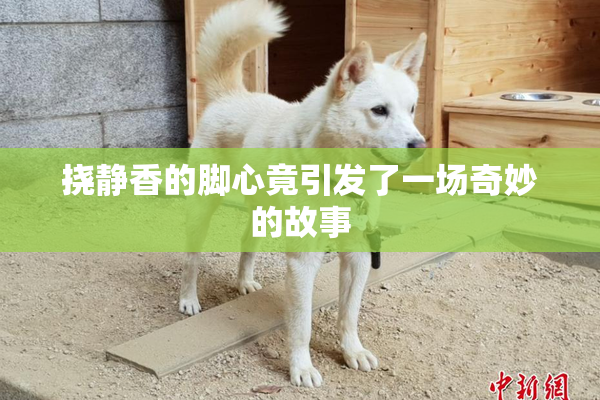 挠静香的脚心竟引发了一场奇妙的故事